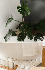 beautiful bathroom. exotic plants near the bathroom. modern and stylish bathtub. spa and relaxation.
