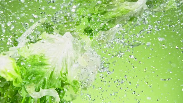 Super Slow Motion Shot of Flying Fresh Lettuce. Shot with high speed cinematic camera, super slow motion at 1000 fps.
