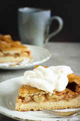 Close-up of a tasty piece of home-made apple pie with whipped cream and a fork on a porcelain plate. Selective focus. Mug in the background.