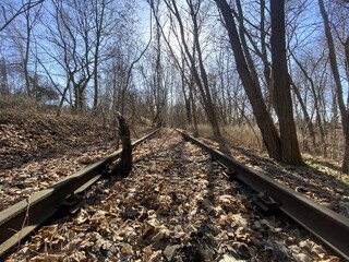 Disused railroad taken over by nature