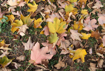 Wall texture, hole, background, tree bark, strokes, cracks, rust, stones, asphalt