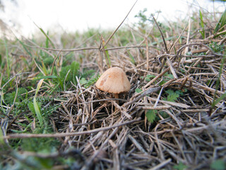 Wall texture, hole, background, tree bark, strokes, cracks, rust, stones, asphalt