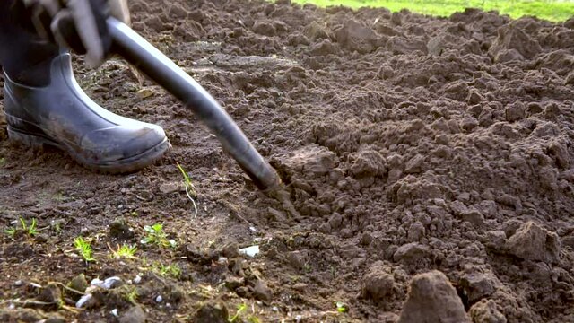 The slow motion of the digging of a soil using the shovel in the tillage