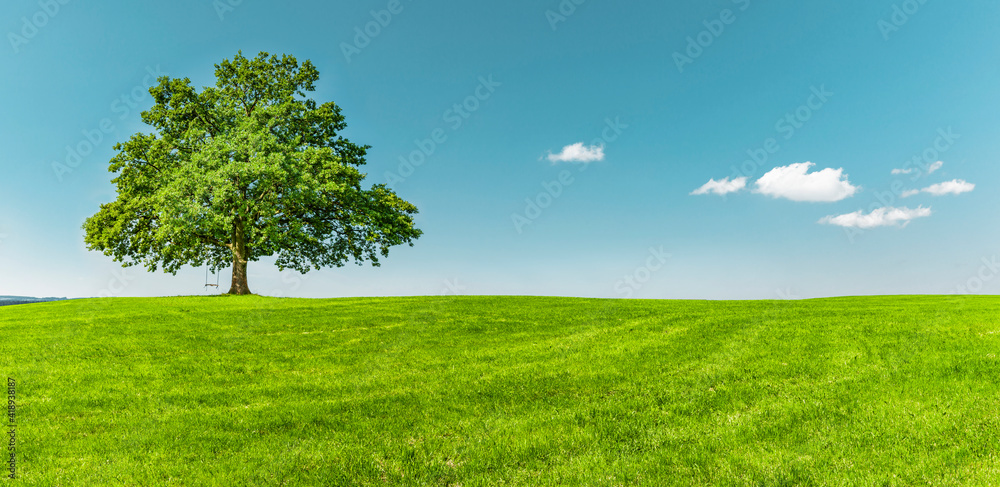 Sticker grüner baum auf einer grünen wiese