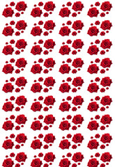pattern of red roses
