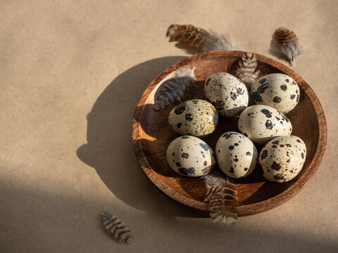 Farm Organic Quail Eggs On Wooden Plate With Brown Feathers On Craft Paper In Morning Sun