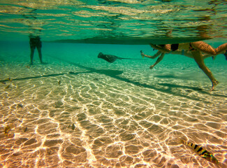 Fototapeta na wymiar Jeunes femmes en plongée avec une raie, lagon à Taha'a, Polynésie française