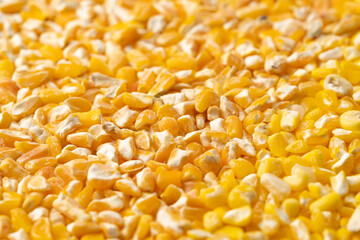 The characteristic dry grain of northeast rice ballast under pure white background