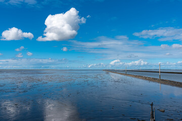 Landscape in the Wadden Sea National Park near Harlesiel