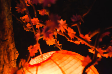 Warm chinese lantern with small leaves