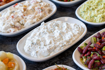 Haydari appetizer. Traditional Turkish and Arabic cuisine meze. Snack meal served alongside the main course. Natural vegetarian food. Local name Haydari mezesi