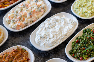 Haydari appetizer. Traditional Turkish and Arabic cuisine meze. Snack meal served alongside the main course. Natural vegetarian food. Local name Haydari mezesi