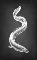 Chalk sketch of Japanese eel - obrazy, fototapety, plakaty