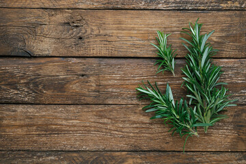 Organic fresh rosemary twigs on the rough wooden background. Fresh fragrant plants with evergreen leaves. Spices and herbs. Top view. Free space for your text. Mediterranean cuisine.