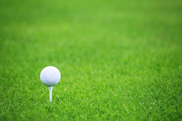 Golf ball on green grass background - 418944539