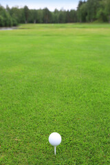 Golf ball on green grass background