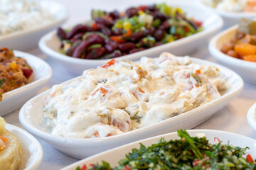 Panco appetizer prepared with potatoes, yogurt and peppers. Traditional Turkish and Arabic cuisine meze. Bulk appetizer plates. Natural vegetarian food. Local name Panco mezze