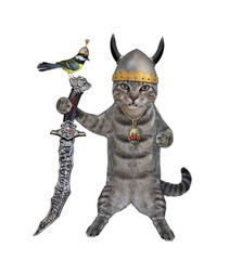 A gray cat warrior in a horned helmet holds a crooked sword. White background. Isolated.