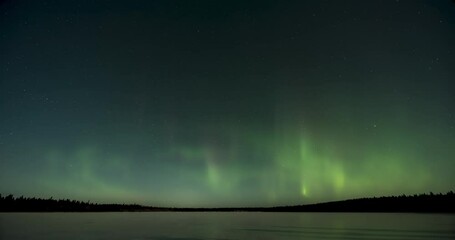 Green, yellow and teal colored Aurora swirling with spikes in a sky filled with stars above a frozen snow covered lake with a line of silhouette pine trees in the distance.
 - Powered by Adobe