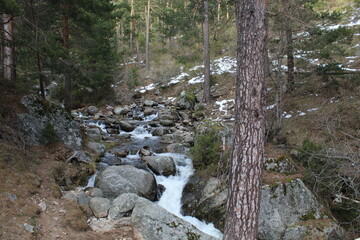 rio con nieve en el bosque
