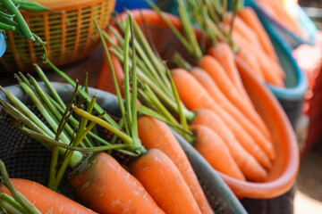 Baskets of Fresh carrots on display in the market