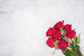 A bouquet of red roses, on a light background. 7 roses. The concept of congratulations on the holiday, anniversary celebration, birthday, there is a place for the text. ...
