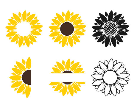 Cartoon Sunflower Images – Browse 23,159 Stock Photos, Vectors, and Video |  Adobe Stock