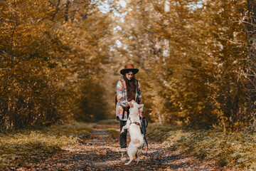 Fototapeta premium Stylish woman training white dog in sunny autumn woods. Cute swiss shepherd puppy learning