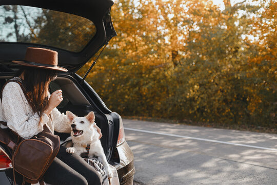 Road Trip With Pet. Stylish Woman Sitting With Cute White Dog In Car Trunk At Sunny Autumn Road