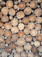 close up view of  natural chopped wood wall