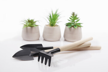 mini farm equipment on white background. Farming is a business.garden tools