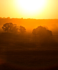 beautiful landscape in the sunset dark trees