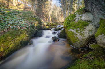 Die Schönheit der Natur
