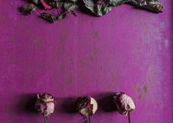 mood board, dry roses on purple canvas texture, flat lay, still life with flowers
