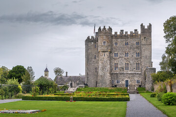 Fototapeta na wymiar Kilkea Castle, Ireland