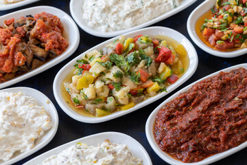 Traditional Turkish and Greek food appetizer table. Grilled eggplant salad (saksuka), Anamur salad, Baba Ghanoush (Mutabbal), pasha appetizer, spicy paste or harissa, purslane salad. Selective focus