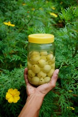 Holding a glass jar of salted gooseberries in a garden.