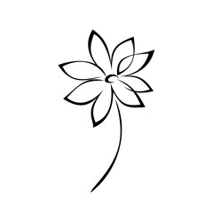one stylized blooming flower on a short stalk without leaves in black lines on a white background