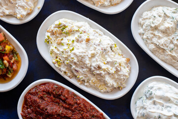 Traditional Turkish and Greek food appetizer table. Grilled eggplant salad (saksuka), Anamur salad, Baba Ghanoush (Mutabbal), pasha appetizer, spicy paste or harissa, purslane salad. Top view