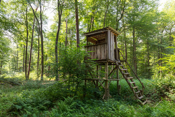 Hochsitz zur Jagd im Wald
