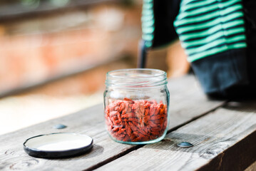 goji berries inside a glass jar on wooden seat in a park