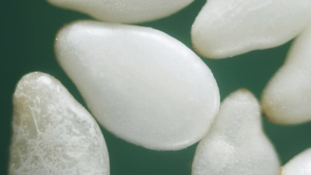 Dry white sesame seeds under microscope