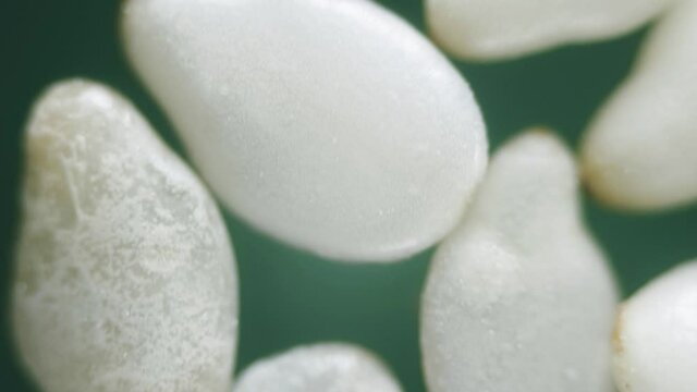 Dry white sesame seeds under microscope