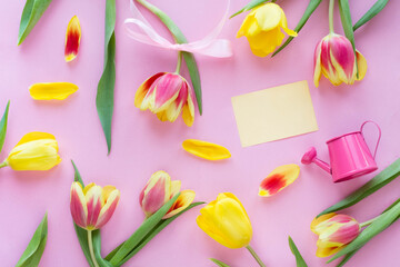 Spring pink background of colorful tulips, petals, watering can