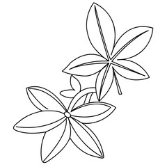 Close-up of a patterned fragment on a white background. Illustration of vector graphics, where plant elements are depicted. Material for creating patterns, decorative backgrounds, or seamless designs.