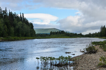 Summer in the Northern Urals.
