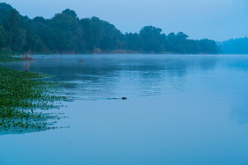 Mist and Sunrise at Loire River, La Chapelle-aux-Naux, Indre-et-Loire Department, The Loire Valley, France, Europe