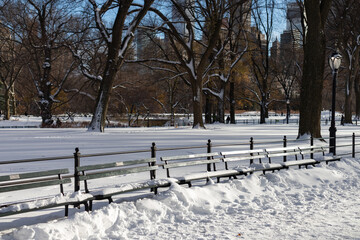 Beautiful Snow Covered Row of Benches at Central Park in New York City during the Winter