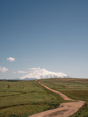 Meadows with a view of Mount Elbrus in the Caucasus. Vertical landscape.