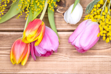 Mimosa and tulips on light brown wooden background